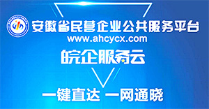 皖企服务云APP
